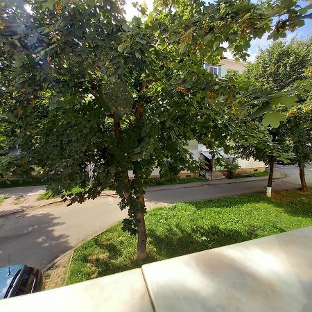 Alma Apartament Piatra Neamţ Екстериор снимка