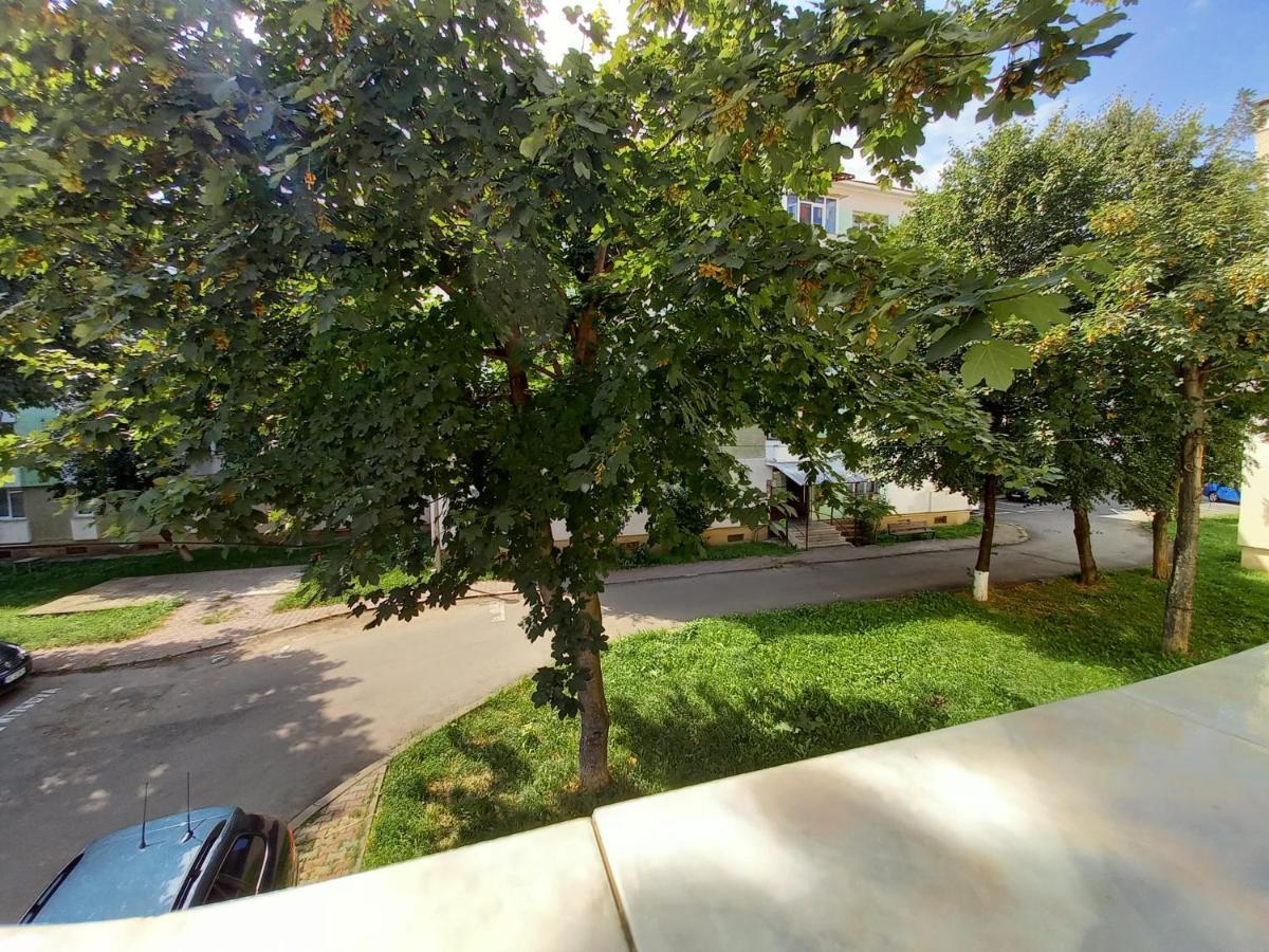 Alma Apartament Piatra Neamţ Екстериор снимка