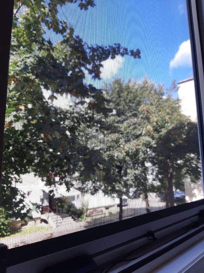 Alma Apartament Piatra Neamţ Екстериор снимка